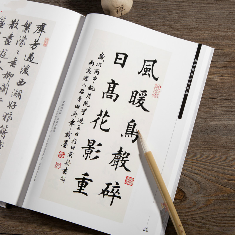 Chinese Calligraphy Practice Book - Ouyang Xun Borstel Kalligrafie Schrift Tian