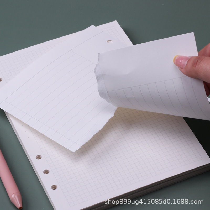 A5 losbladig notitieboekje, na - A5 Spiral Dotted Grid Notebook recensie en prijs