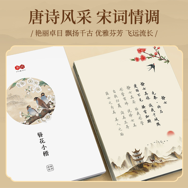 Haarspeldbloem Kleine Kai-kall - Chinese Calligraphy Practice Book recensie en prijs